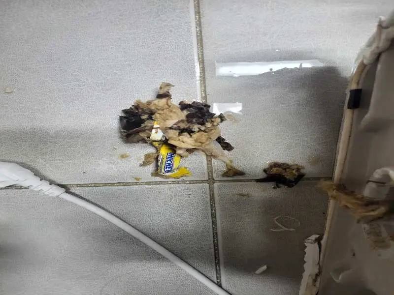 성남 배관 이물질 제거 사례 6